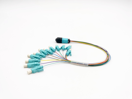 MPO-LC 12x Fiber Patch Cord Set Multi Mode (MM) 0.27m LSZH
