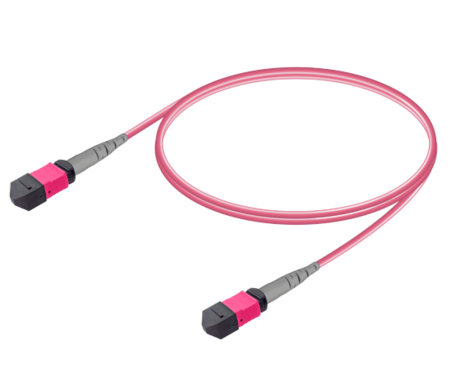 12FO MPO-F/UPC-MPO-F/ Cable de fibra preterminado OM4 G.651.1 3.0mm 10m Violeta