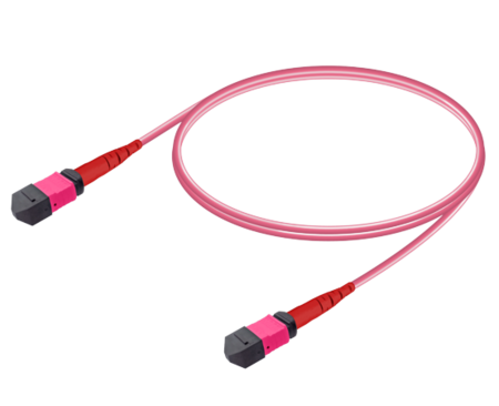 24FO MPO-F/UPC-MPO-F/ Cable de fibra preterminado OM4 G.651.1 3.0mm 10m Violeta