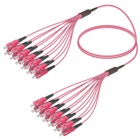 FO Fanout MM OM4 12x50/ 250 Violet / Pre-Terminated Fiber Cables