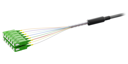 12FO E2000/APC Pre-Terminated Fiber Cable OS2 G.652.D 4.1mm-6.0mm Grey