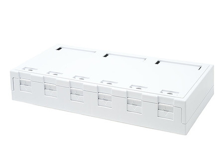 Boîtier de montage en surface, 85 x 172mm, blanc, 6 ports