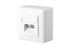 E-DAT Cat 6A 2 Port AP Surface Mount Wall Outlet  pure white