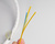 Dénudeur Longitudinale pour câble de fibre optique (1.2mm-3.3mm) MS-6