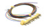 LC/PC 12 Fibers Color-coded Pigtail MM OM2 900µm 2m 