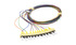 12 Fasern Farbcodiertes ST/UPC-LWL-Pigtail-Set OS2 900µm 2m