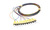 ST/UPC 12 Fibers Color-coded Fiber Pigtail Set OS2 900µm 2m 