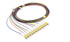LC/PC 12 Fibers Color-coded Pigtail MM OM3 900µm 2m 