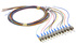 FC/UPC 12 Fibers Color-coded Pigtail SM G652D 900µm 2m 