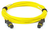 12FO MPO-F/APC Pre-Terminated Fiber Cables  OS2 G.657.A1 3.0mm   Type A - Straight  1m   OFNP Yellow