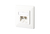 E-DAT Cat 6 2 Port UP flush-mounted Wall Outlet pure white